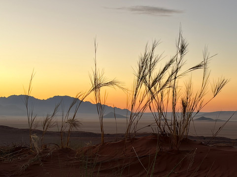 Tok Tokkie Hiking Trails-NamibRand Nature Reserve必去景点