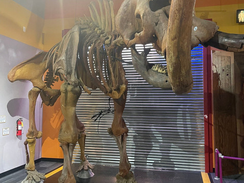 Ripley's Believe It Or Not-巴拿马城海滩必去景点