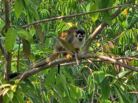 图莱马尔豪华度假屋主图