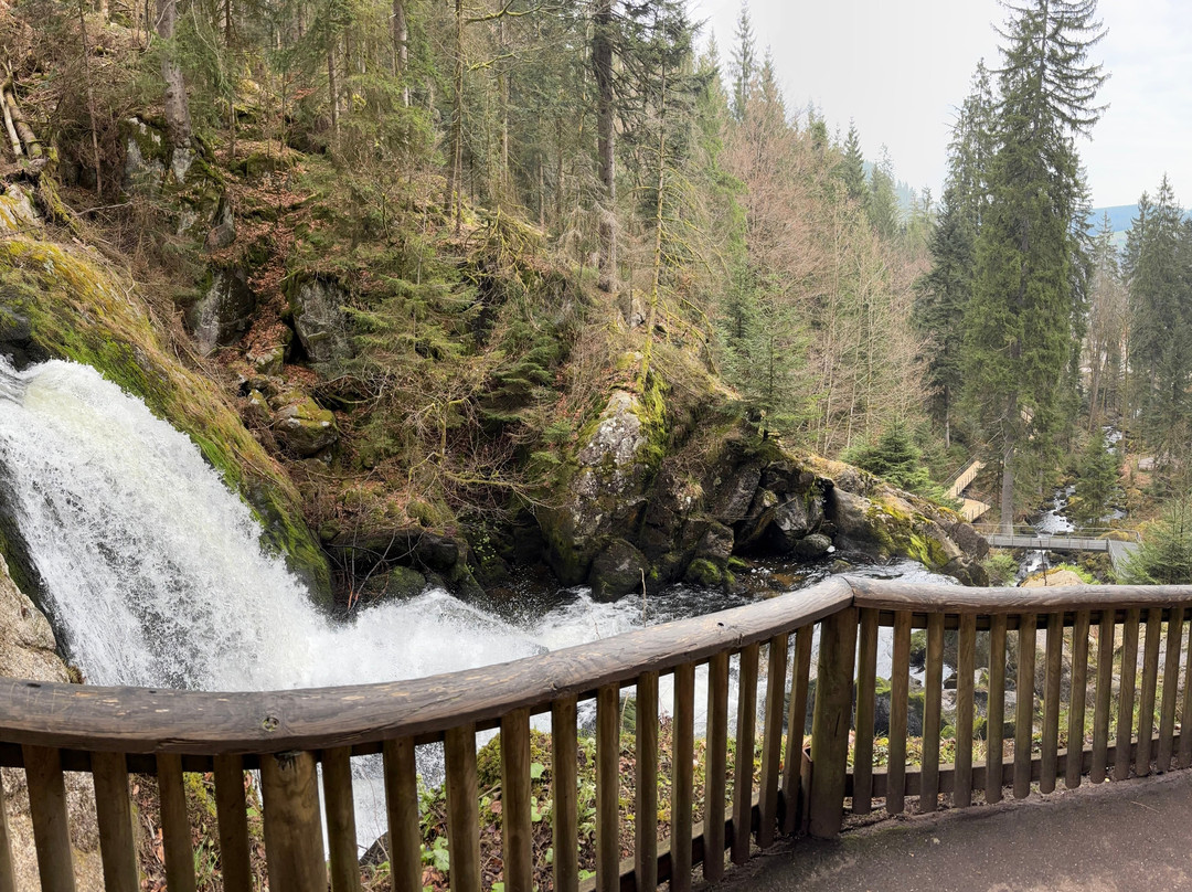 帕法福各姆酒店主图