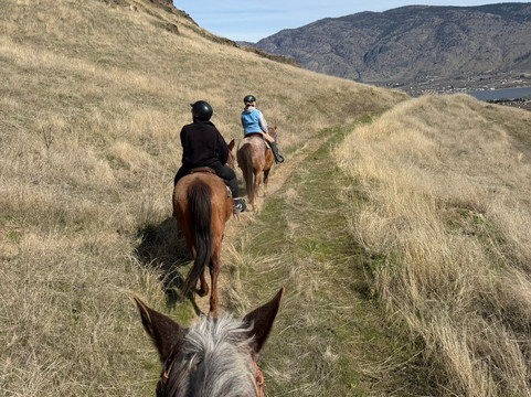 Sun Hills Riding Centre-奥索尤斯必去景点