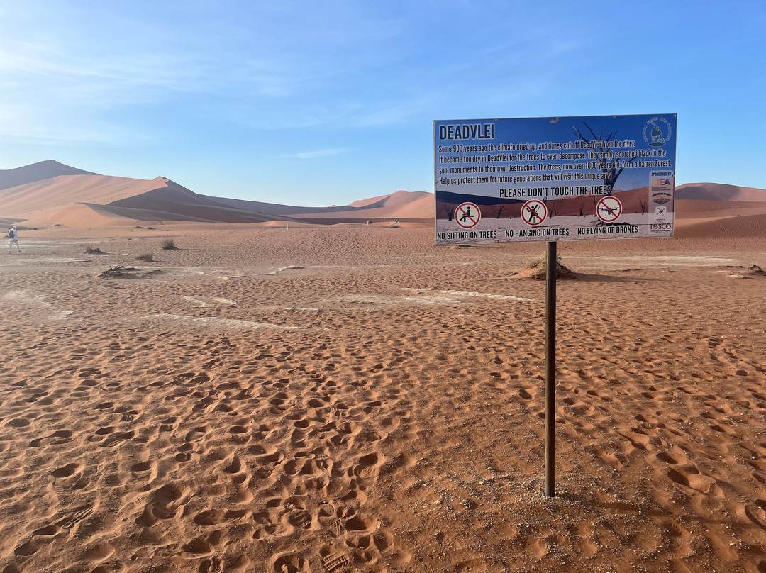 Deadvlei-苏丝斯黎必去景点