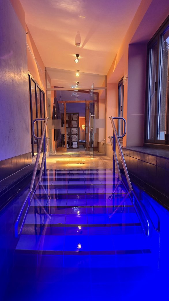 爱尔茂城堡酒店-泳池