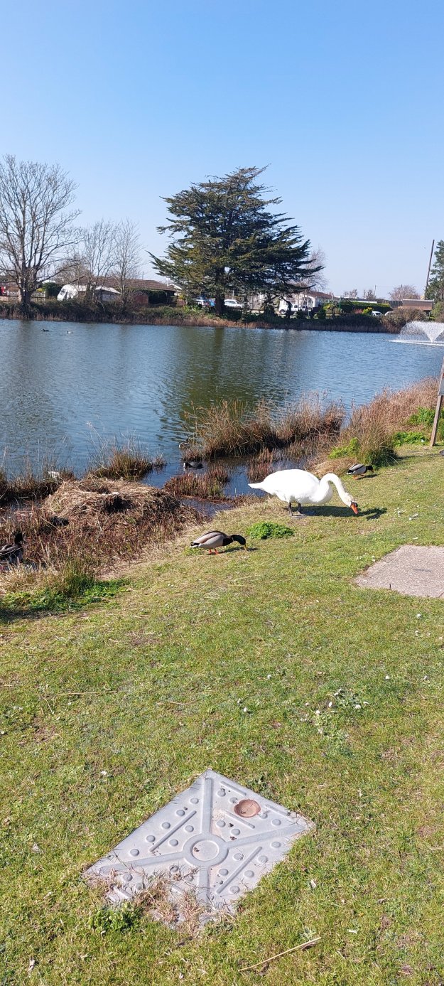 Warner Hotels - Lakeside-官方