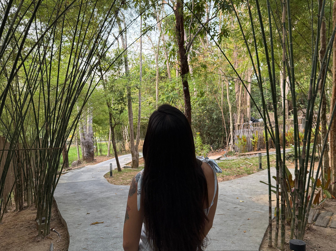 Sunyata Spa & Wellness Island Escape Burasari-Coconut Island必去景点