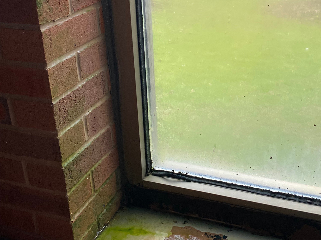 格兰维多利亚贝斯特韦斯特酒店主图