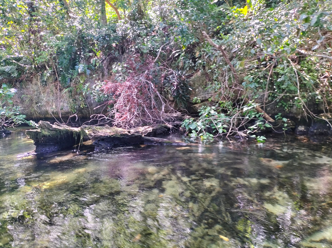 Italcruise-Bayahibe必去景点