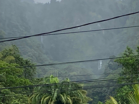 Trafalgar Falls-Morne Trois Pitons National Park必去景点