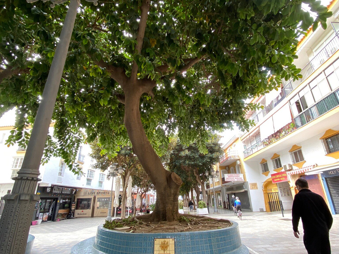 Calle San Miguel-托雷莫里诺斯必去景点