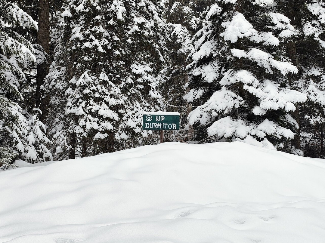 Durmitor National Park Visitor Centre-Zabljak必去景点
