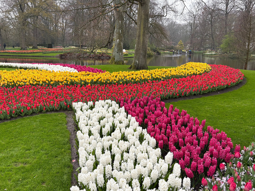 Holland Tour Company-哈勒姆必去景点