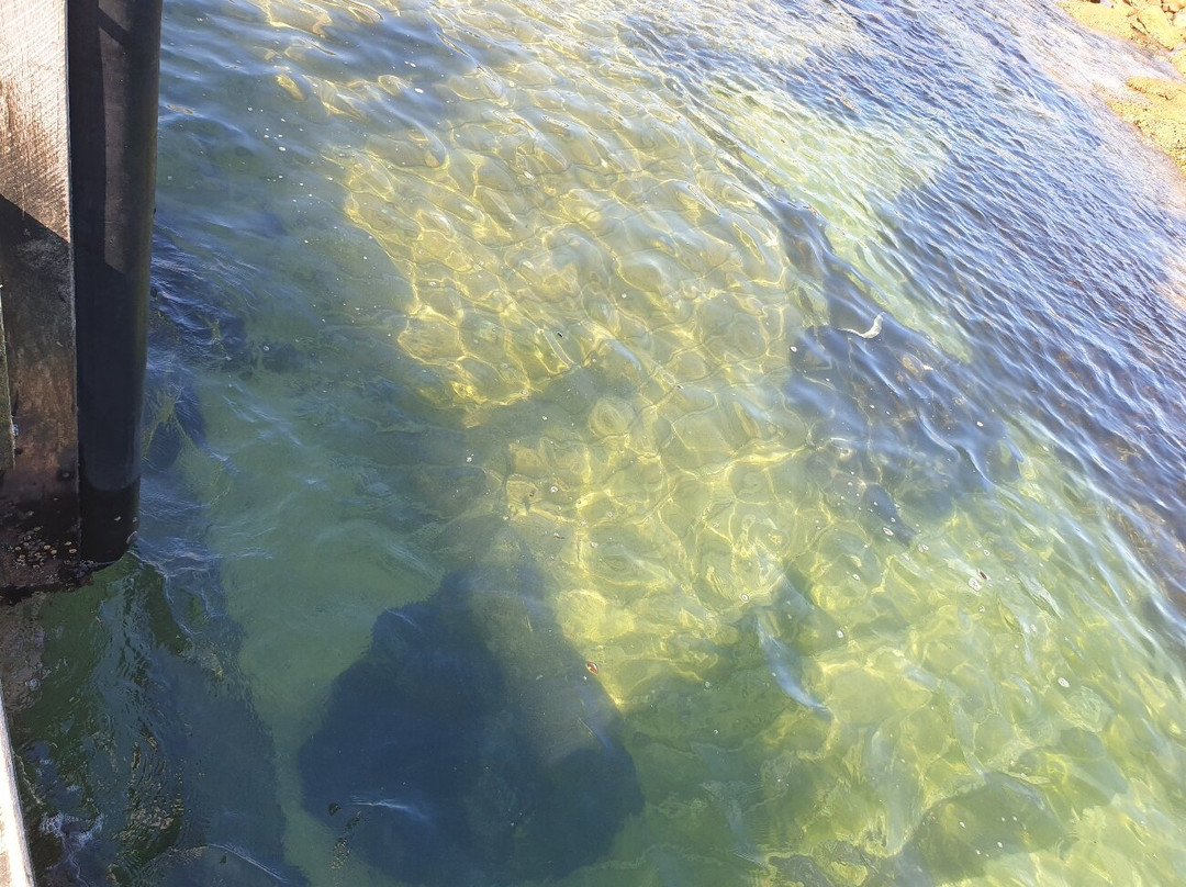 Salmon Rocks-康恩角必去景点