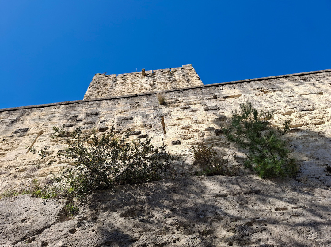 Cite Medievale de Guerande-Guerande必去景点