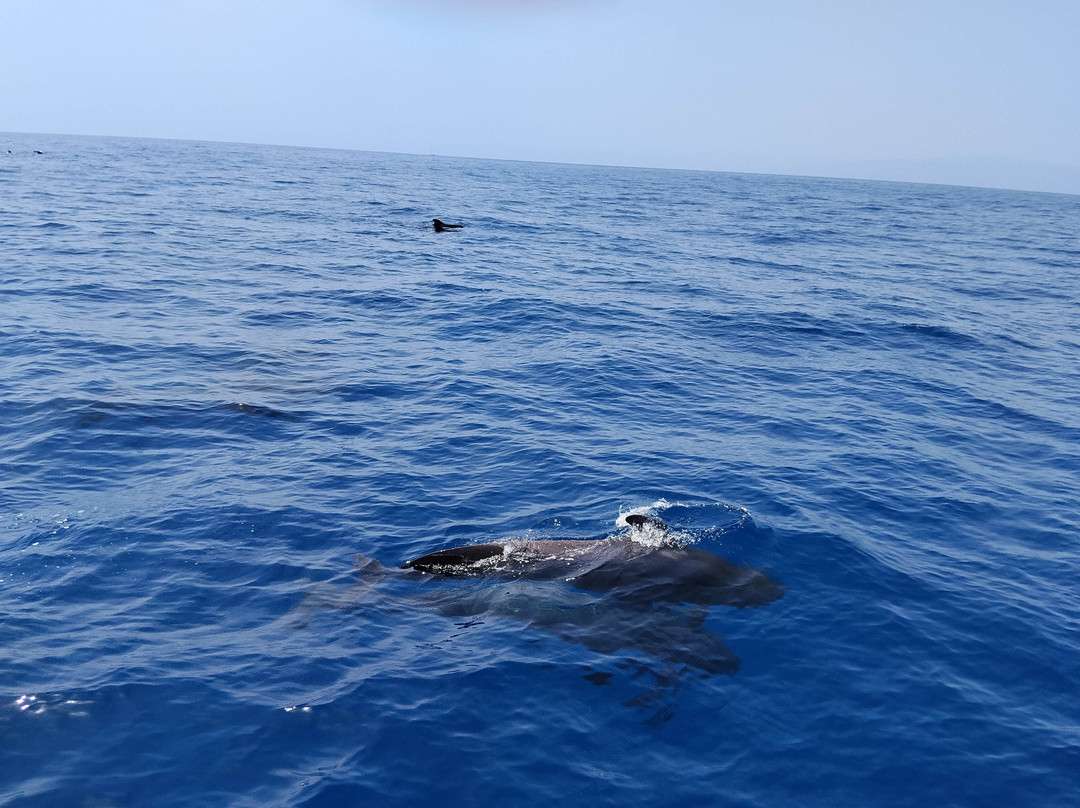 Opera 60 Luxury Charters-奥德杰海岸必去景点