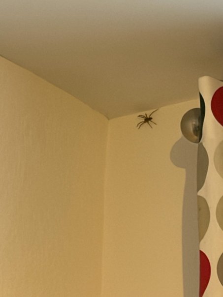 西格尼英式酒店-官方