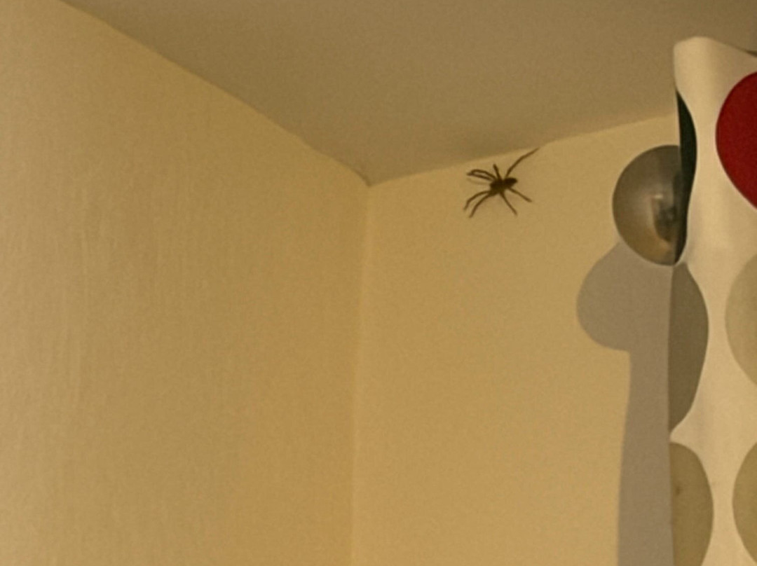 西格尼英式酒店主图