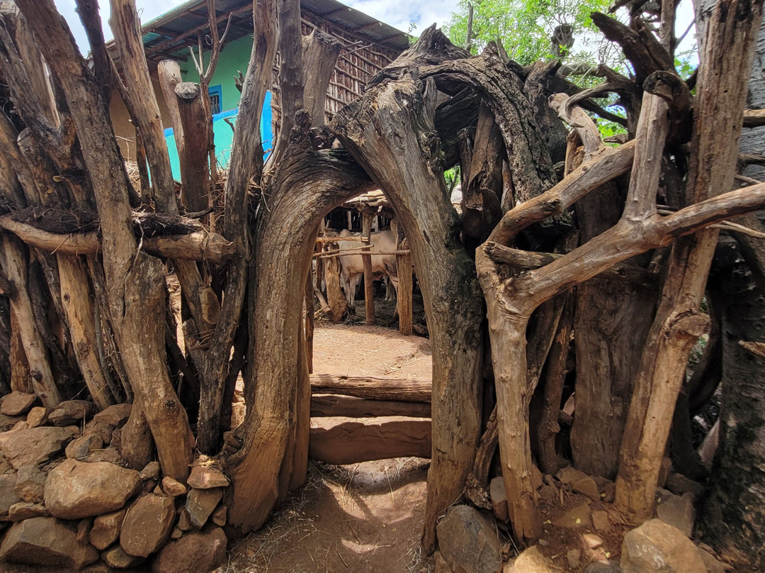 Konso Cultural Centre-Konso必去景点