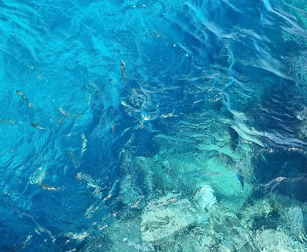 Niue OrientationTour-阿洛菲必去景点