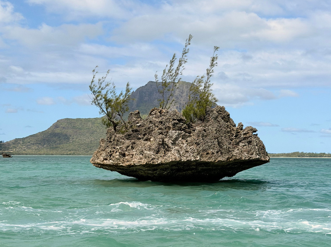 Dauphine Tours Mauritius-大湾必去景点