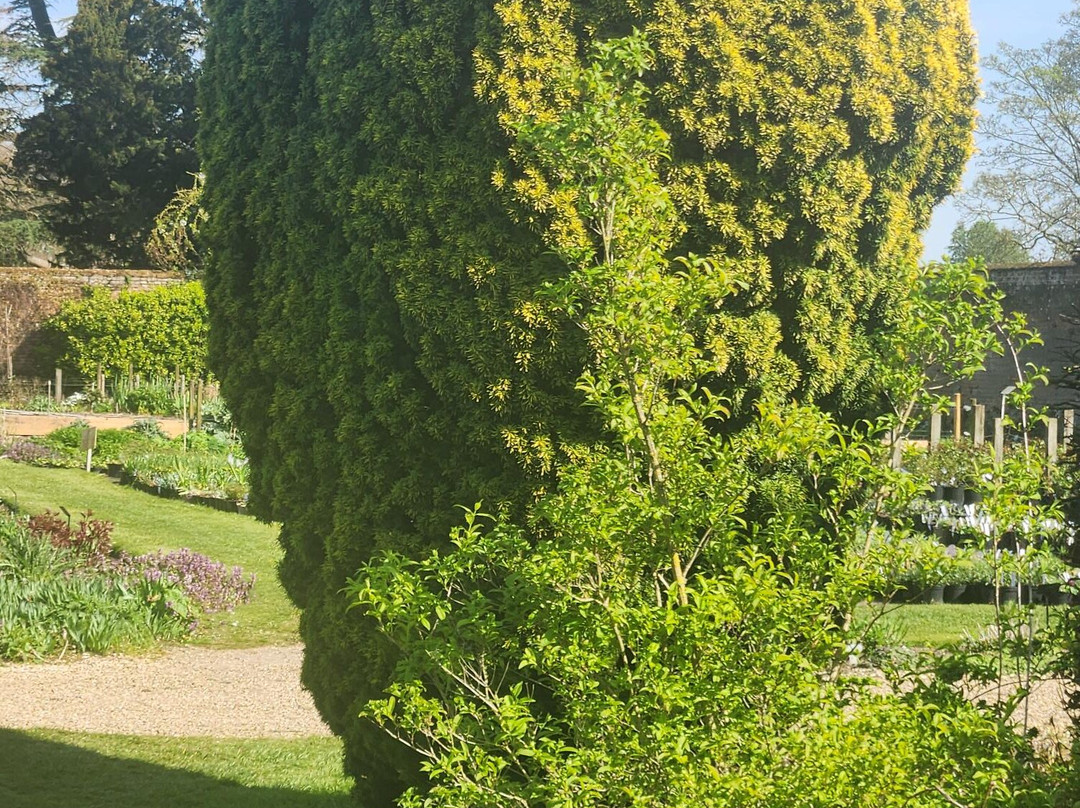 West Acre Gardens-West Acre必去景点