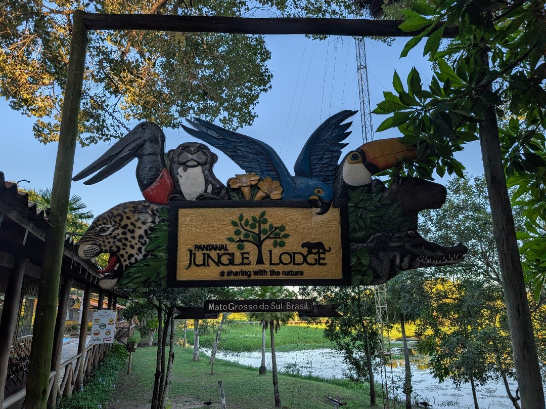 Pantanal Viagens e Turismo-大坎普市必去景点