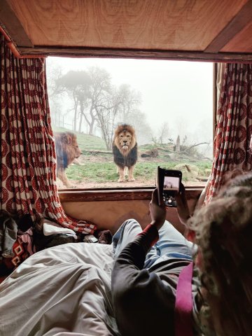 Safari Lodges At West Midlands Safari Park-官方