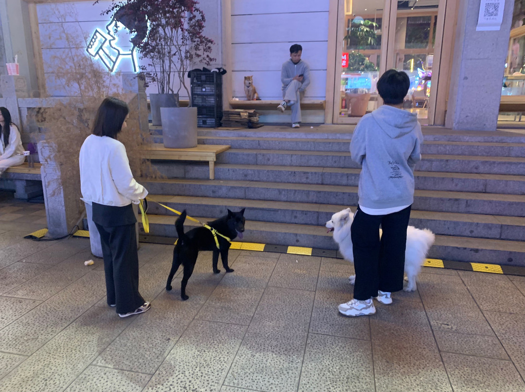 张家港杨舍老街-张家港市必去景点