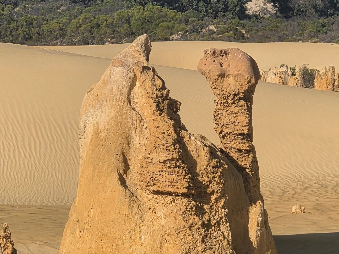 Nambung Station Stay主图