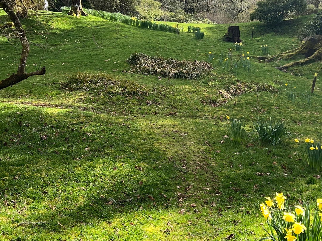 Angus's Garden, Barguillean-Taynuilt必去景点