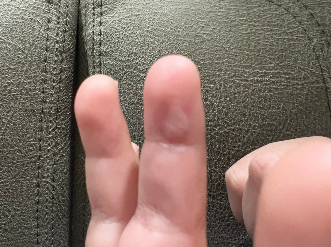 维塞利亚塞阔亚万豪万枫酒店主图