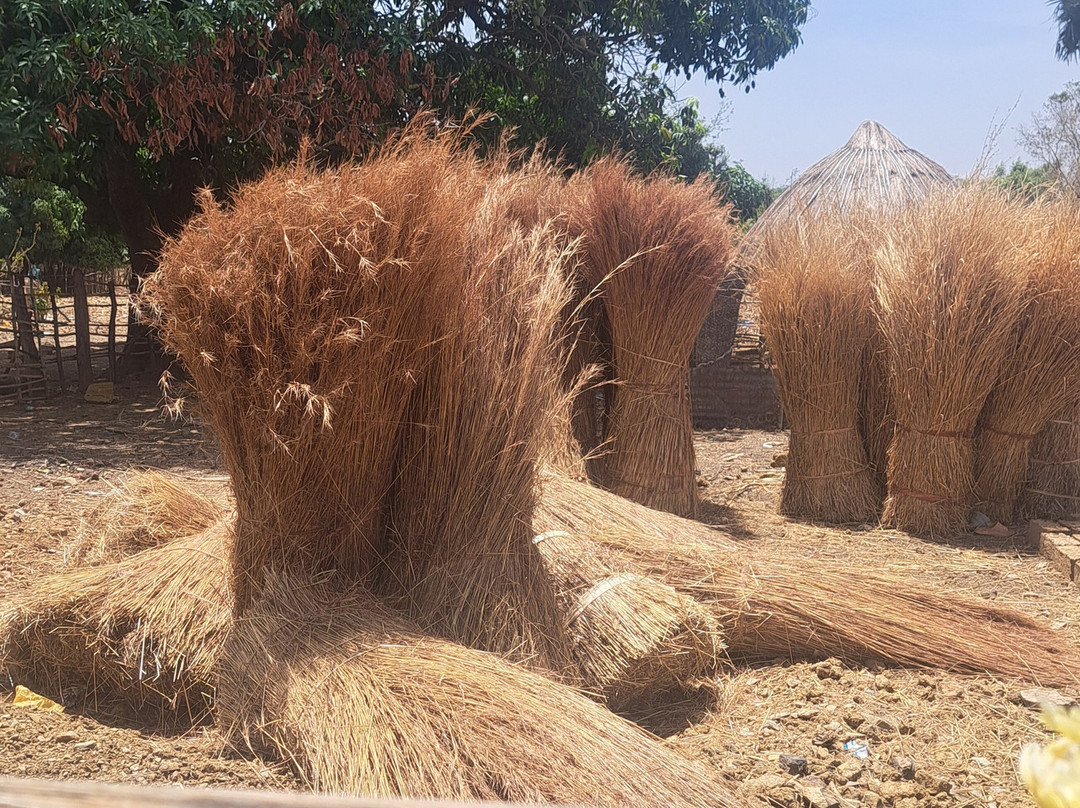 Guia Senegal Pais Bassari-Kedougou必去景点