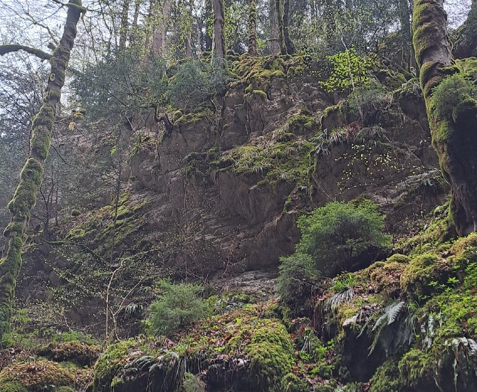 Gorges du Pont du Diable-La Vernaz必去景点