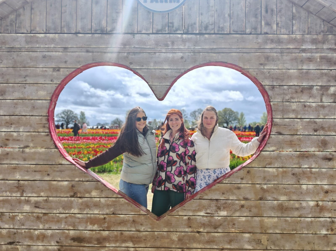 Tulleys Tulip Garden - Warwickshire-沃里克必去景点