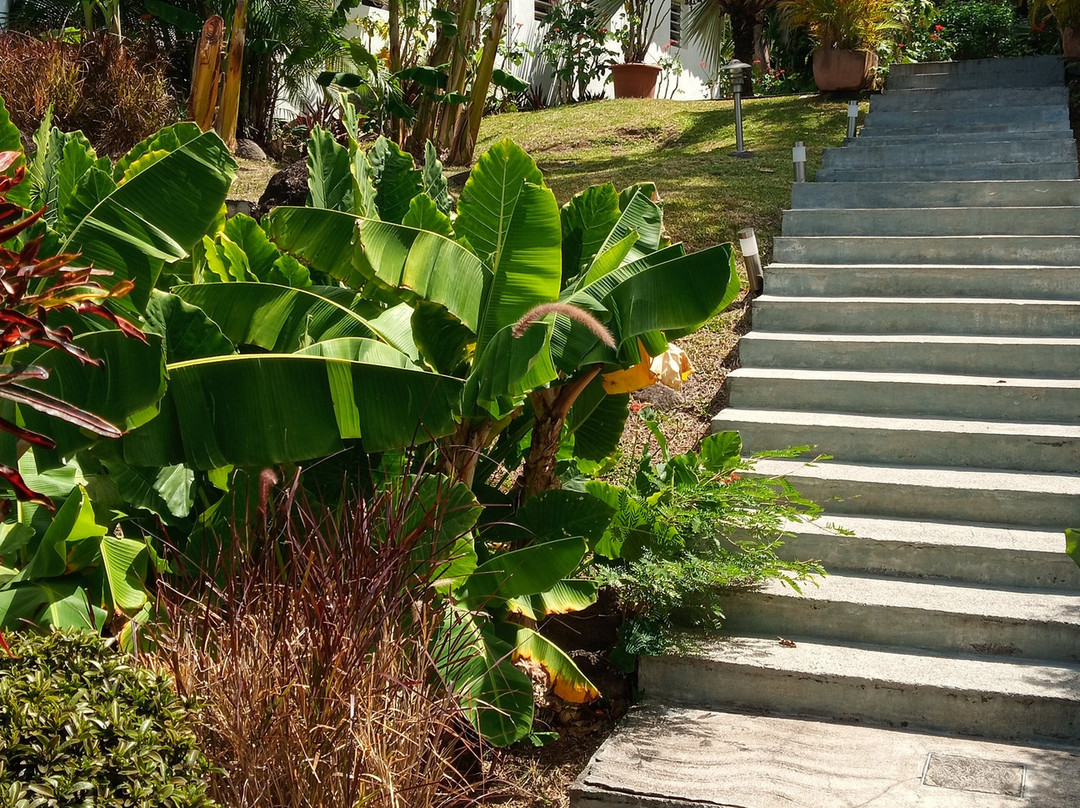 Villa Rose Caraibes主图