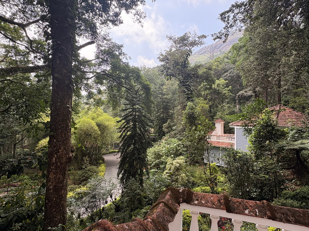 蒙纳大树酒店主图