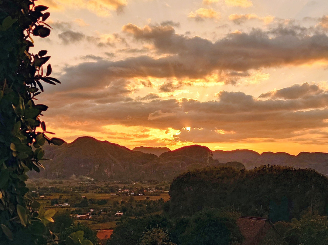 Authentic Tour Delivery-维纳勒斯必去景点