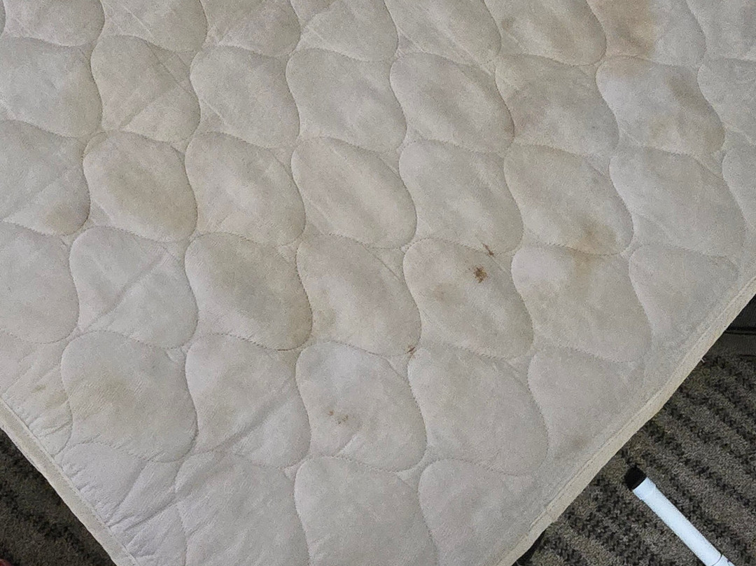 埃尔克哈特拉昆塔温德姆套房酒店主图