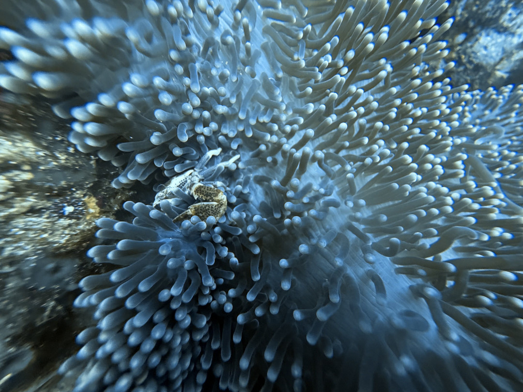 Aiyanar Beach and Dive Resort主图