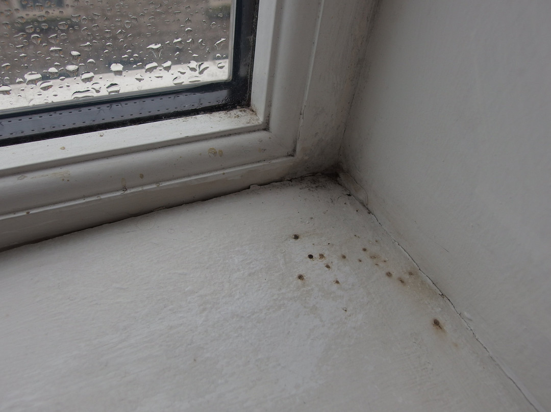 肯德尔湖区, 贝斯特韦斯特Sure精选酒店主图