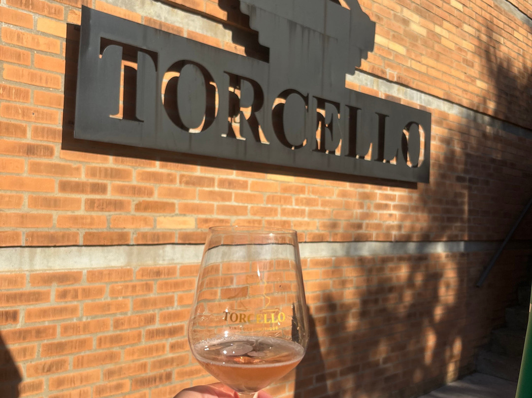 Vinícola Torcello-本图贡萨尔维斯必去景点