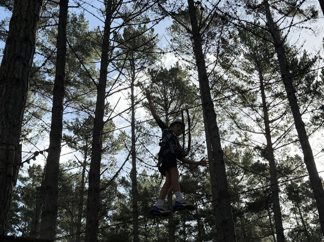 Tree Adventures-伍德山必去景点