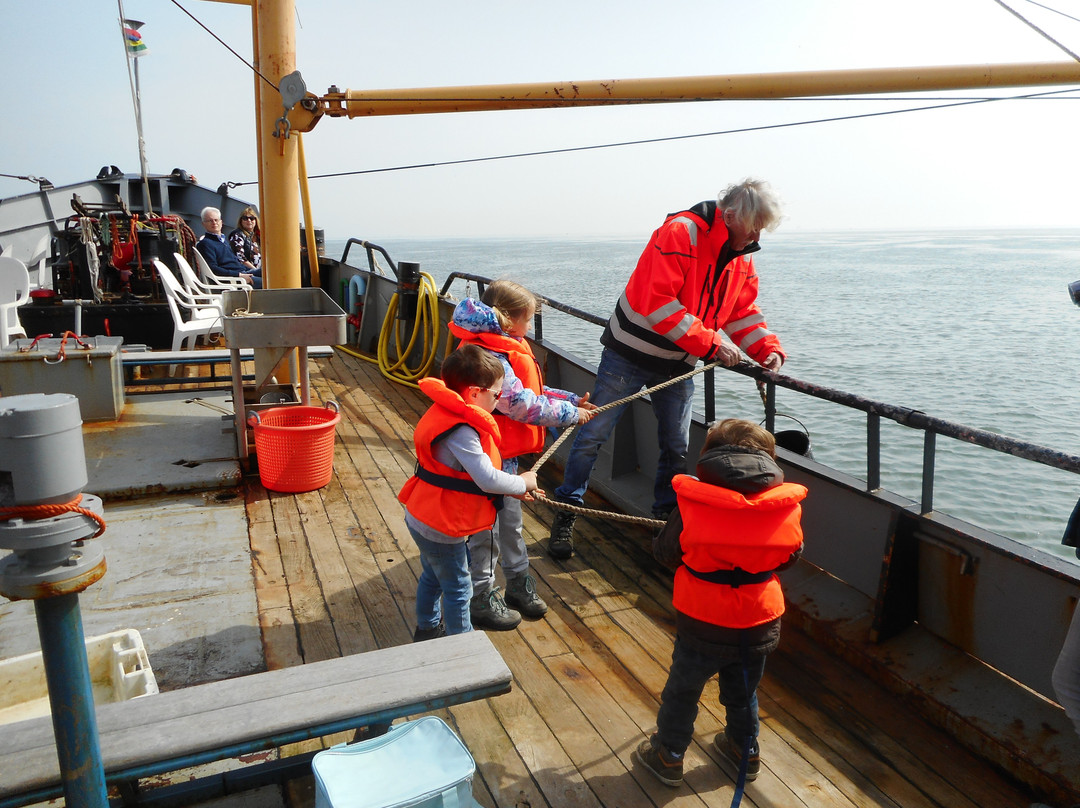 Viking TS3 Sleepnetvissen-West-Terschelling必去景点