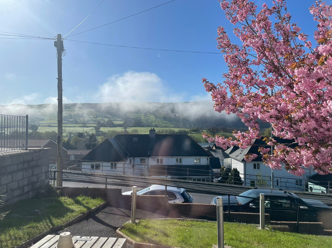 Rhayader酒店住宿-Bryn Derwen Bed and Breakfast
