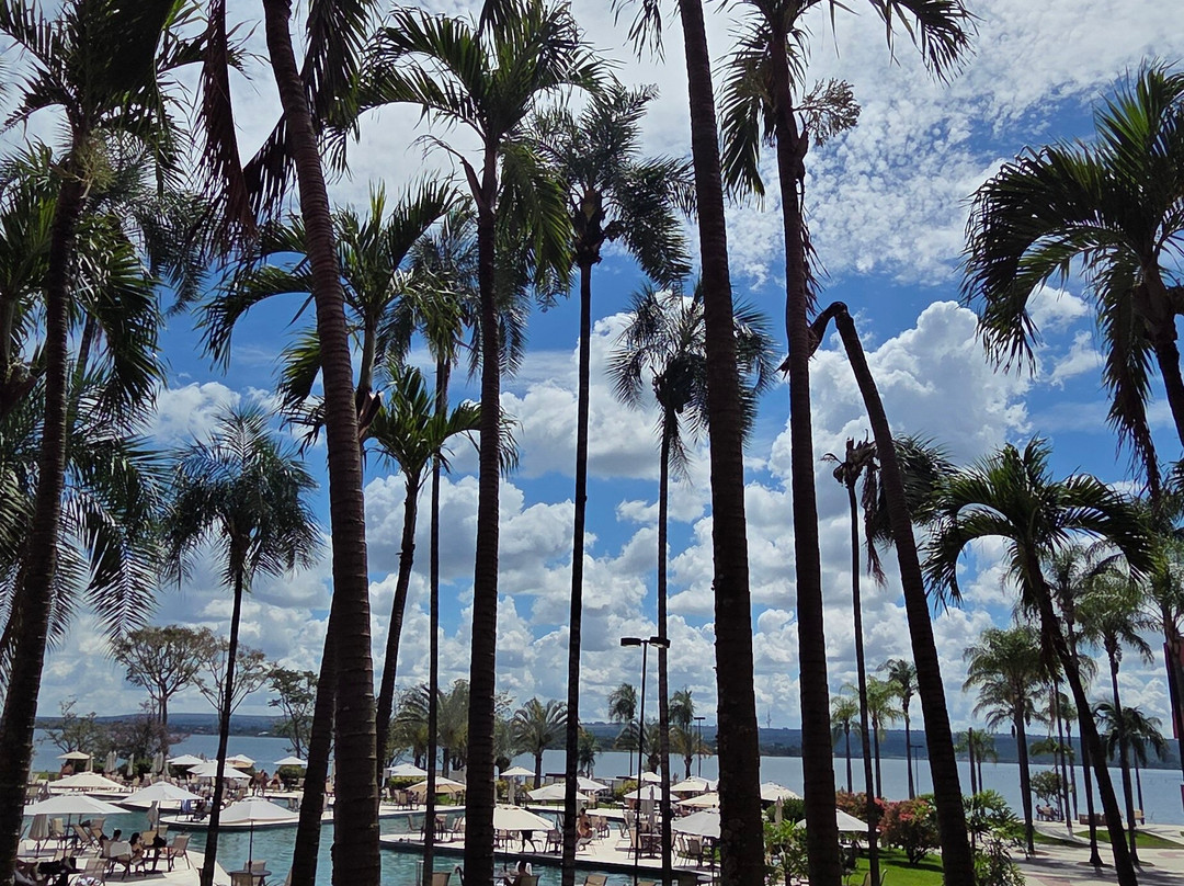 巴西利亚阿尔沃拉达皇家郁金香酒店主图