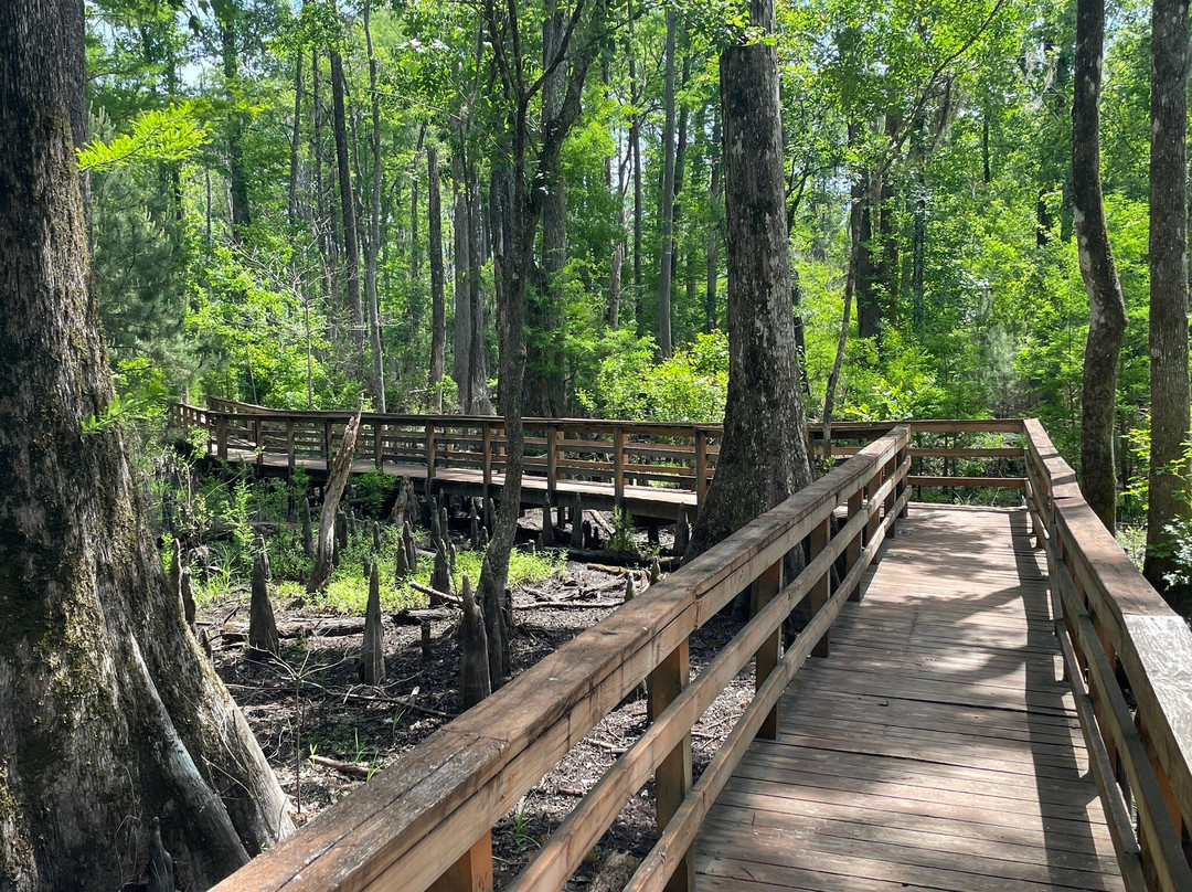 Caw Caw Interpretive Center-Ravenel必去景点