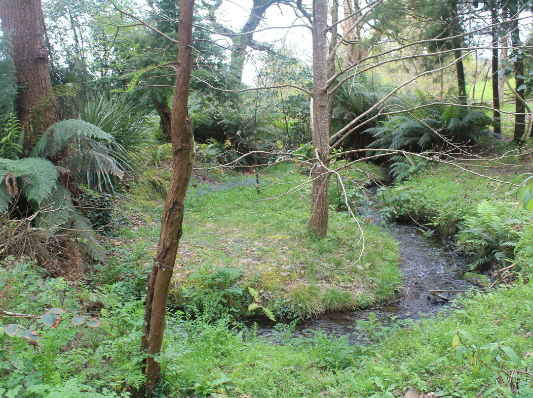 Tregrehan Garden-Par必去景点