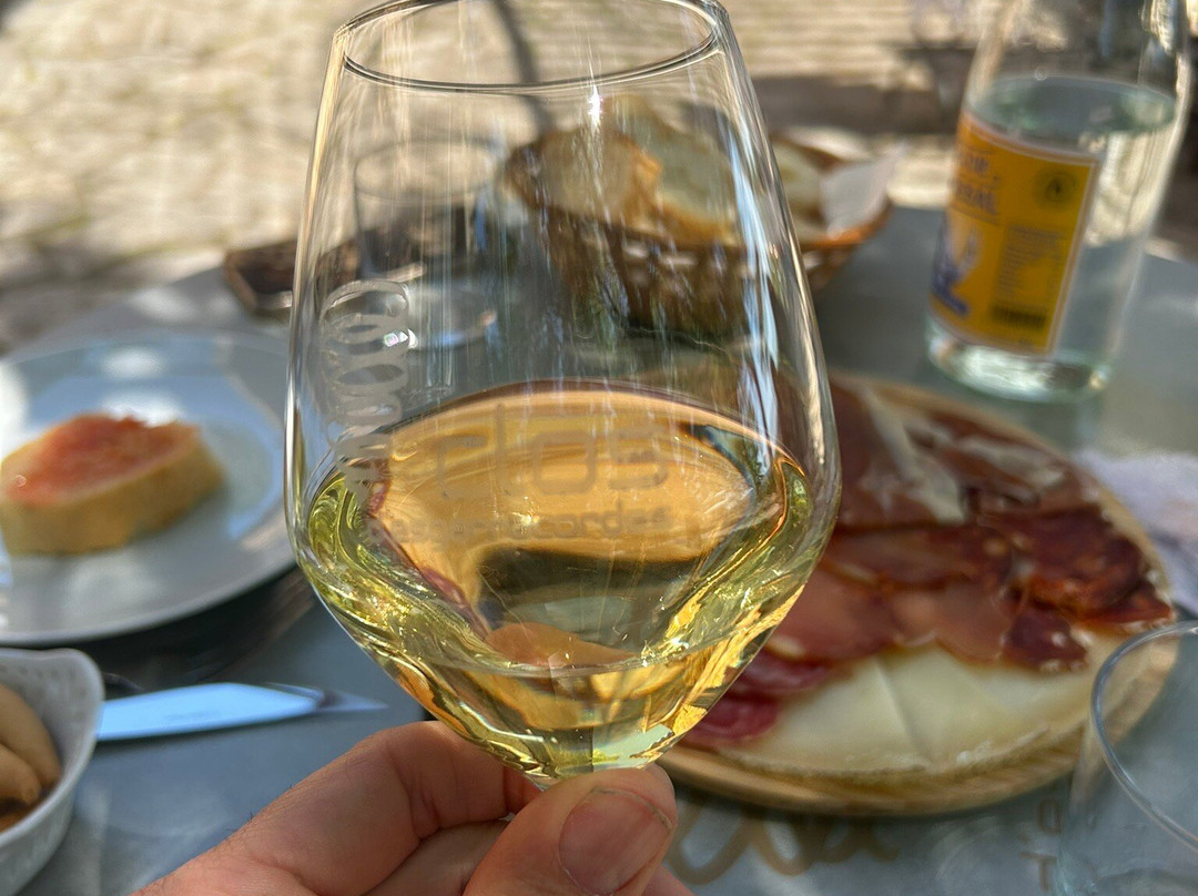Baron d'Alba Bodegas y Vinedos-Les Useres必去景点