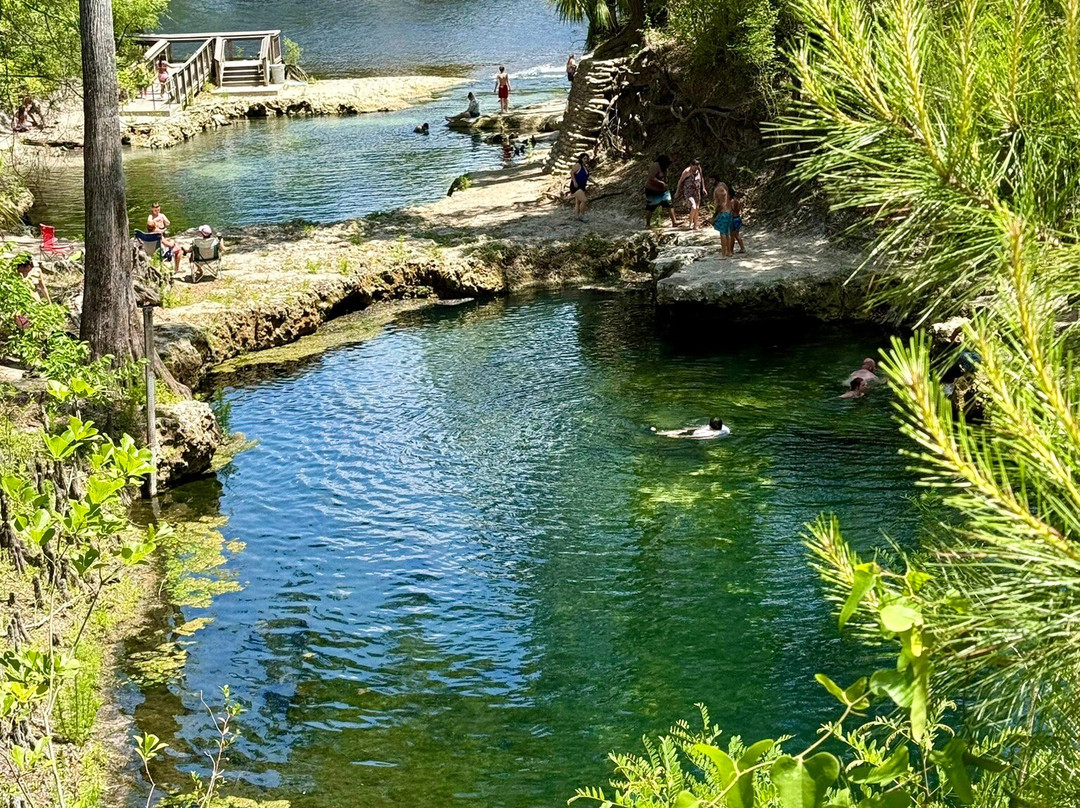 Lafayette Blue Springs State Park-Mayo必去景点