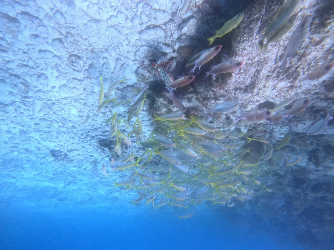 Anda Di Wata Dive School-Providencia Island必去景点