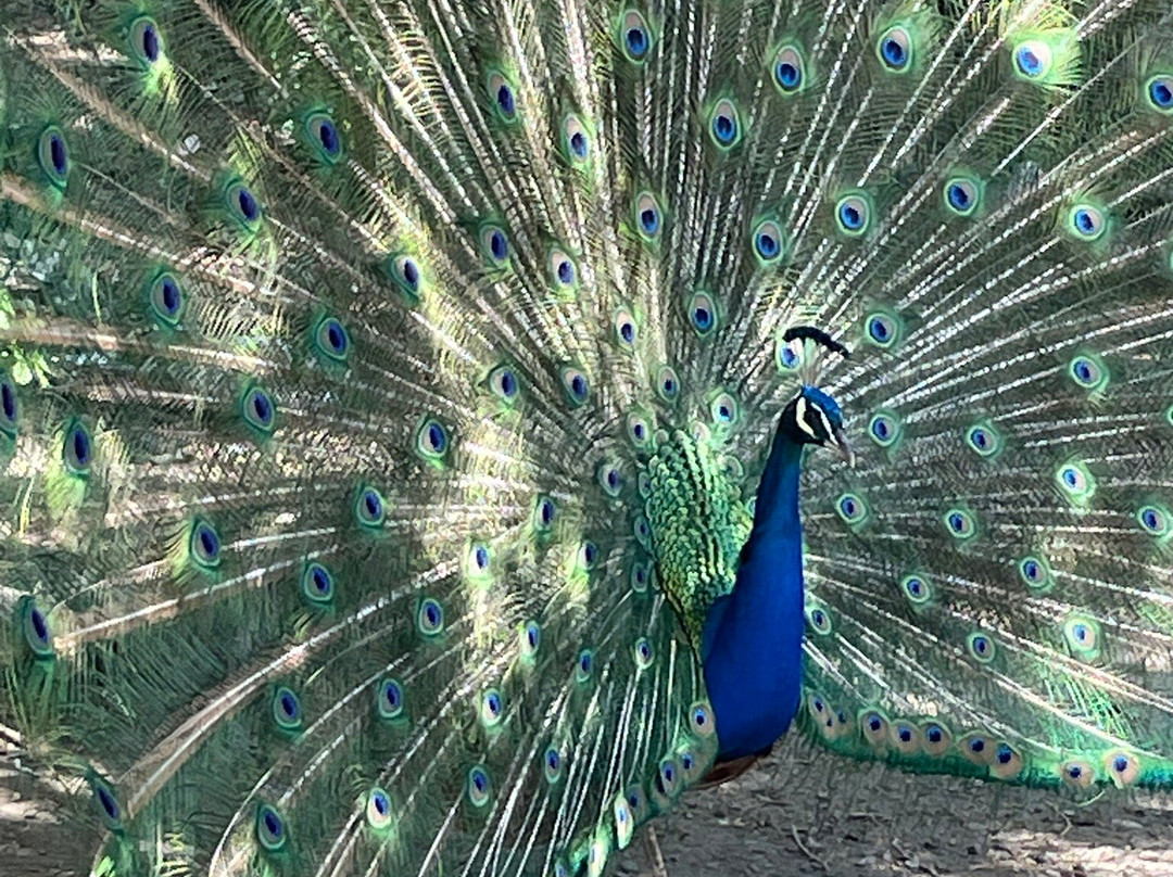 Botanical Garden Of Crete-Fournes必去景点